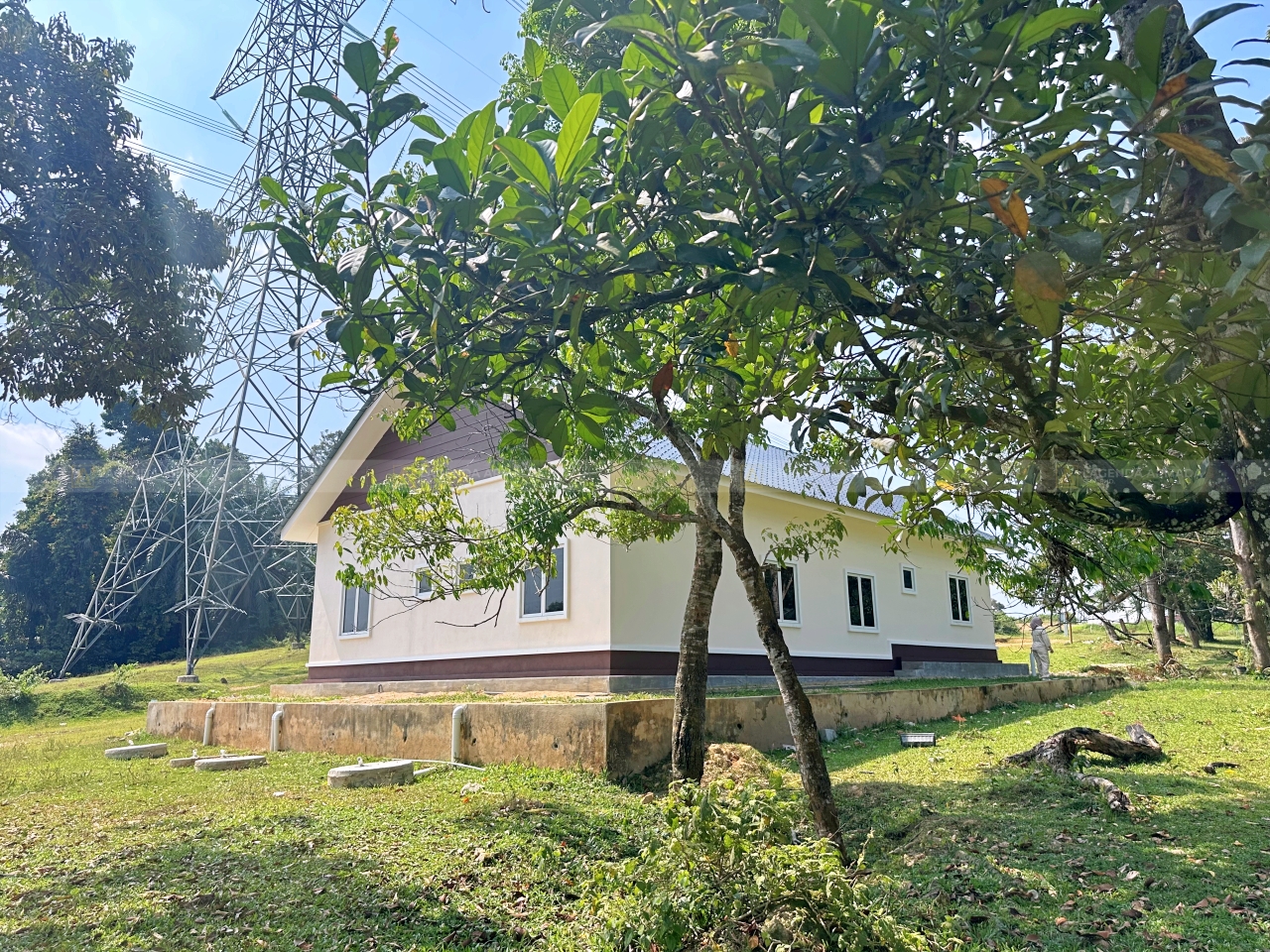 Lagenda Akasia (Puan Nor Azizah Ahmad)