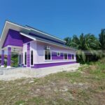 Lagenda Ijok (Hamizan)