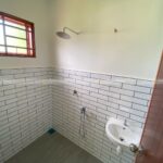 Lagenda Mawar (Puan Nazliza)