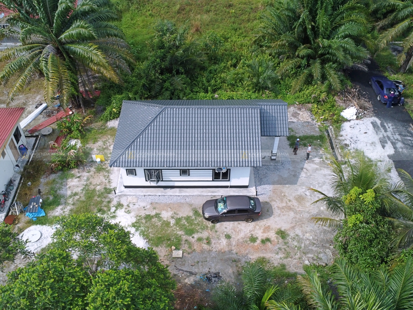 Lagenda Mawar (Encik Samsudin)