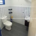 Lagenda Merak (Puan Amira)